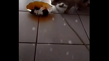 Gadis Seksi Yang Menggoda