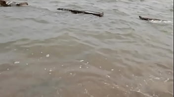 Sensasi Panas Kelinci Shenyang Yang Menggoda