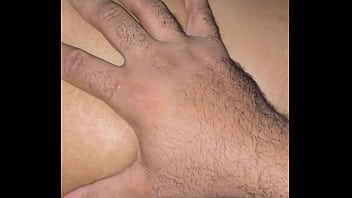 Ayam-ayam Terbangun Dan Kalkun Mulai Masuk