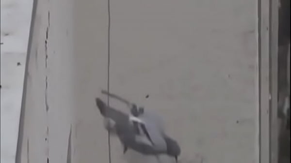 Rola Tancap Gas Di Instagram Live, Siap-siap Meledak!