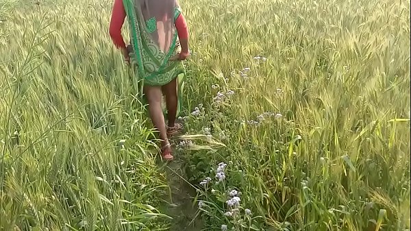 Desi Bhabhi Digoda Di Ladang, Ngentot Di Alam Terbuka