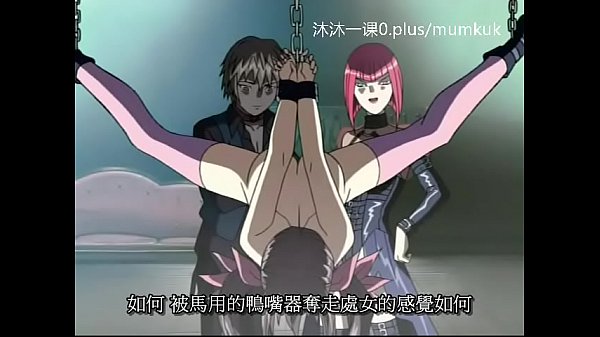 A95动漫中文字幕 中课 鸽血1-2 第二部 激情续篇